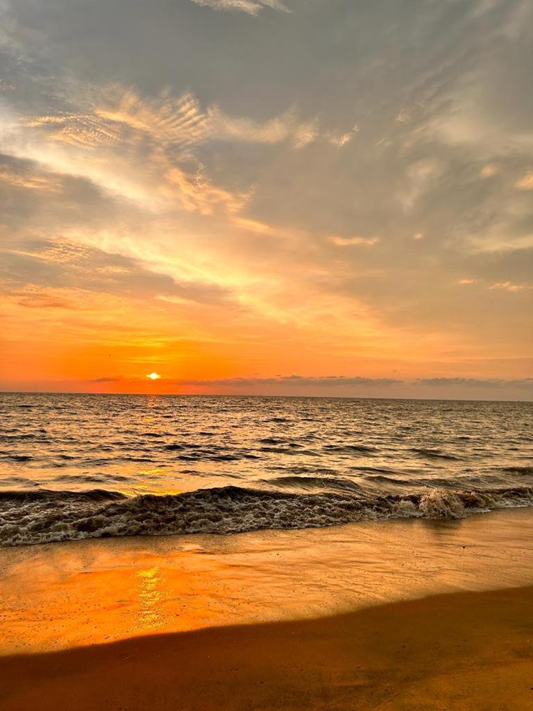 Enocean Homestay Cherai Beach ภายนอก รูปภาพ