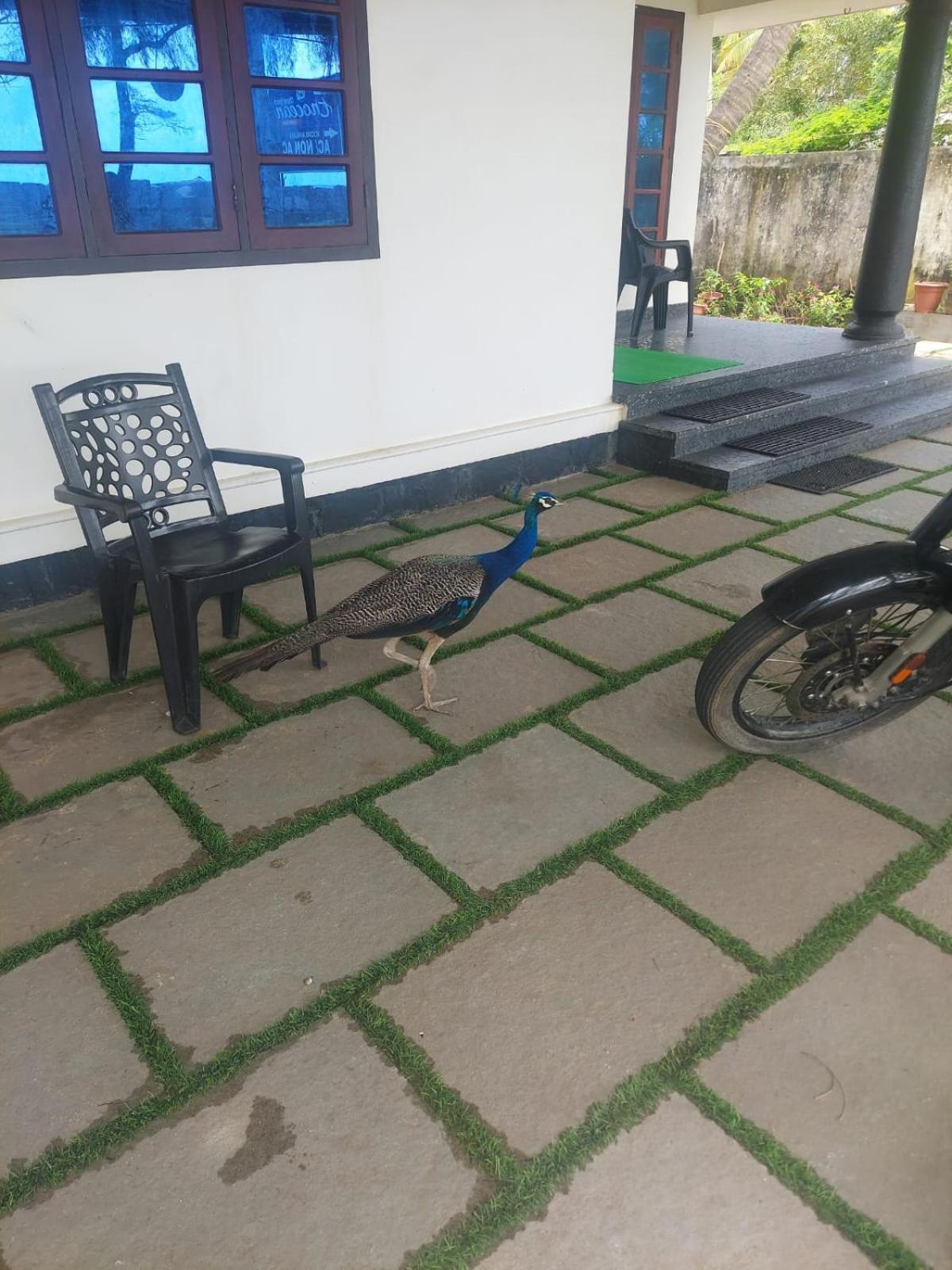 Enocean Homestay Cherai Beach ภายนอก รูปภาพ